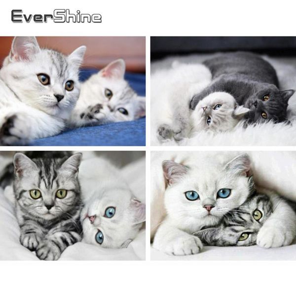 diamond painting evershine mosaic full round square drill animal embroidery cat cross stitch kit set sale
diamond painting evershine mosaic full round square drill animal embroidery cat cross stitch kit set sale