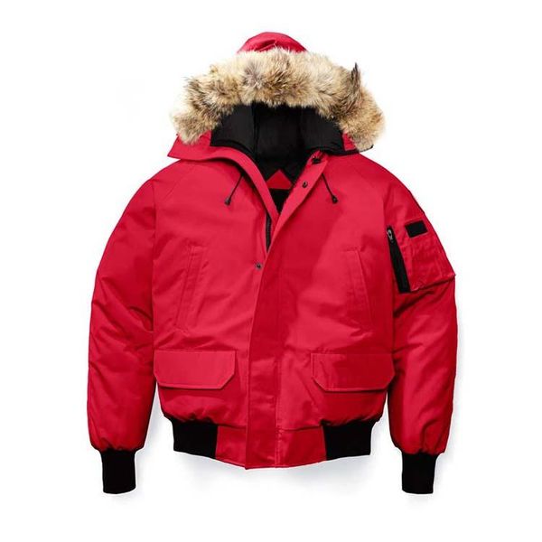 e01 casual gose down jecket for man e46 short windproof thermal winter outwear fur coat red, Black
e01 casual gose down jecket for man e46 short windproof thermal winter outwear fur coat red, Black