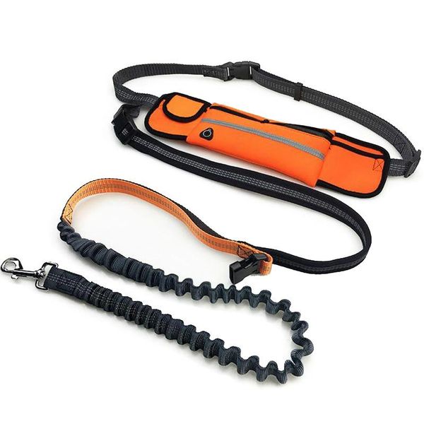 hand elastic dog leash adjustable padded waist reflective running jogging walking pet lead belt with pouch bags collars & leashes
hand elastic dog leash adjustable padded waist reflective running jogging walking pet lead belt with pouch bags collars & leashes