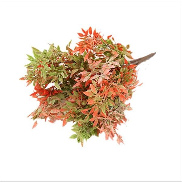 decorative flowers & wreaths 5 fork simulation pepper plant diy wedding family party wall hanging kitchen sink pography holiday decoration
decorative flowers & wreaths 5 fork simulation pepper plant diy wedding family party wall hanging kitchen sink pography holiday decoration