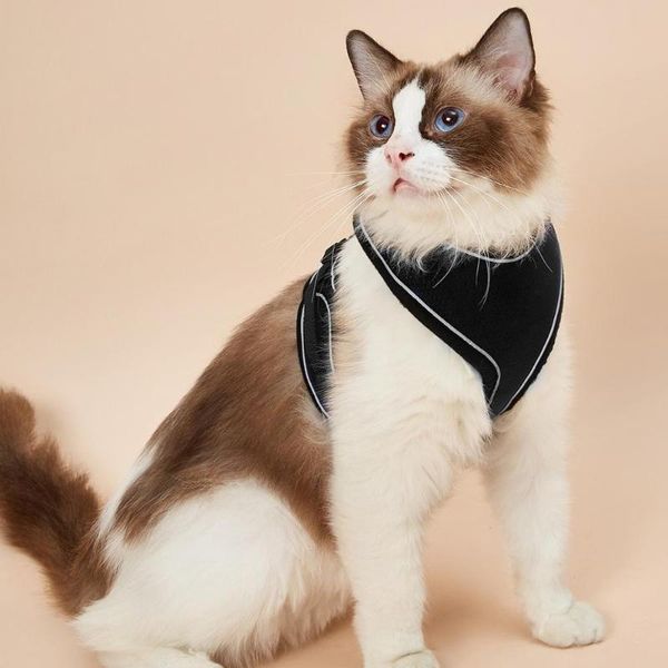 cat costumes escape proof vest harness and car seat belt adapter adjustable reflective soft mesh for kitten puppy
cat costumes escape proof vest harness and car seat belt adapter adjustable reflective soft mesh for kitten puppy