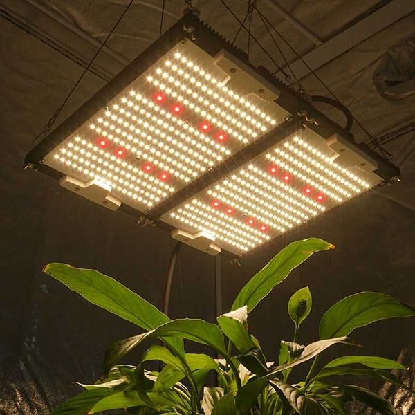 kingbrite 240w qb288 sf2000 led board samsung lm301h cree xp-e2 660nm ip65 waterproof grow light with double heatsink lights
kingbrite 240w qb288 sf2000 led board samsung lm301h cree xp-e2 660nm ip65 waterproof grow light with double heatsink lights