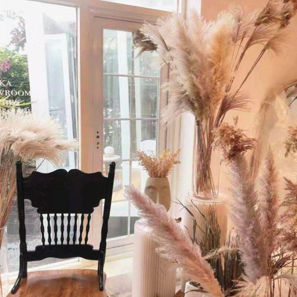 20style christmas decorative fake flower for wedding wholesale flower phragmites natural dried grass pampas plants grass home decoration flo
20style christmas decorative fake flower for wedding wholesale flower phragmites natural dried grass pampas plants grass home decoration flo