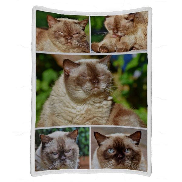 personalized throw blanket,custom blanket with ps collages (5 p collages, 50"x70")
personalized throw blanket,custom blanket with ps collages (5 p collages, 50"x70")
