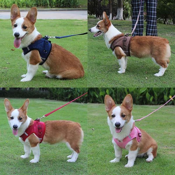 pet traction rope vest-style cat chest harness reflective breathable dog chain supplies and accessories collars & leashes
pet traction rope vest-style cat chest harness reflective breathable dog chain supplies and accessories collars & leashes