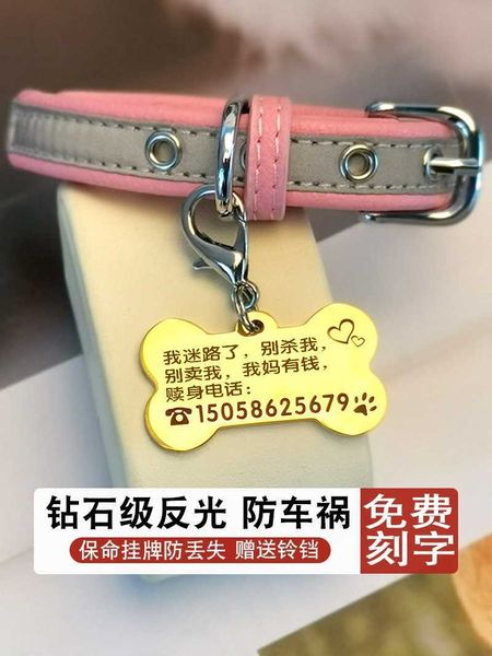 dog's id card lettering cat's reflective anti loss with bell pet dog cat collar ck6n
dog's id card lettering cat's reflective anti loss with bell pet dog cat collar ck6n