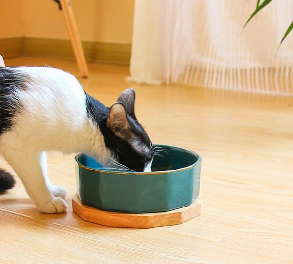 cat bowls & feeders ceramic bowl dog pet dish for and water with bamboo stand non-slip rubber base
cat bowls & feeders ceramic bowl dog pet dish for and water with bamboo stand non-slip rubber base