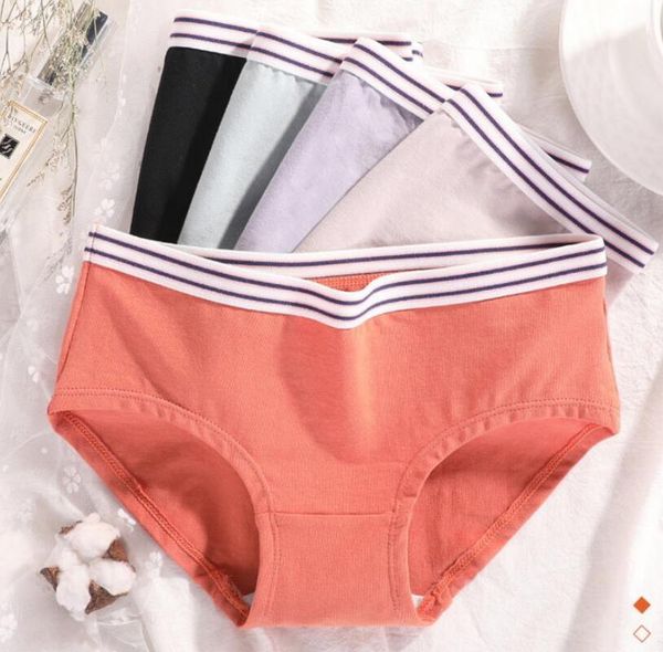 women's panties fashion women cotton ladies solid colors underwear breathable lingerie bow-knot comfort female briefs, Black;pink
women's panties fashion women cotton ladies solid colors underwear breathable lingerie bow-knot comfort female briefs, Black;pink