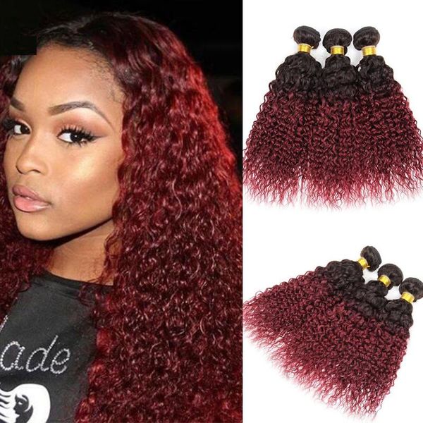 human hair bulks dreamdiana ombre mongolian kinky curly bundles two tones 1b burgundy remy colored afro extensions, Black
human hair bulks dreamdiana ombre mongolian kinky curly bundles two tones 1b burgundy remy colored afro extensions, Black