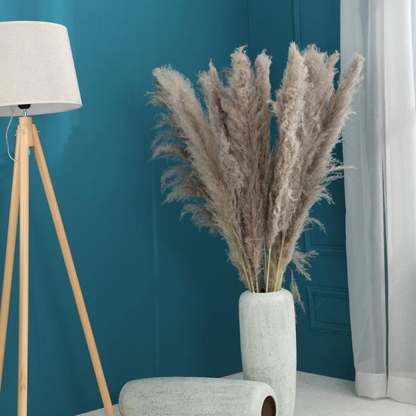 decorative flowers & wreaths natural plants pampas grass large size dried flower fluffy for home wedding party living room decor
decorative flowers & wreaths natural plants pampas grass large size dried flower fluffy for home wedding party living room decor