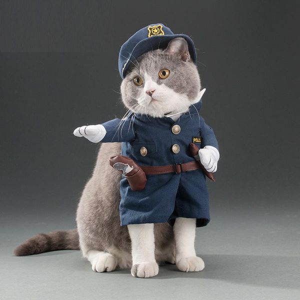 halloween personalized costume for dogs upright transformation funny fall winter festival party clothing cat costumes
halloween personalized costume for dogs upright transformation funny fall winter festival party clothing cat costumes