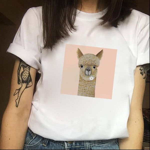 graphic women t shirt tees summer short sleeve casual white shirts harajuku llama print cute kawaii femme
graphic women t shirt tees summer short sleeve casual white shirts harajuku llama print cute kawaii femme