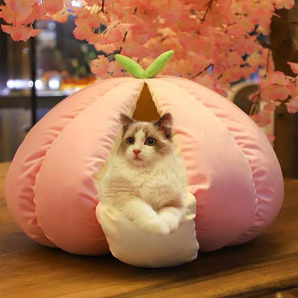 cat beds & furniture net red pet litter spring and summer warm thick closed pumpkin nest kitten removable sleeping bag mat
cat beds & furniture net red pet litter spring and summer warm thick closed pumpkin nest kitten removable sleeping bag mat