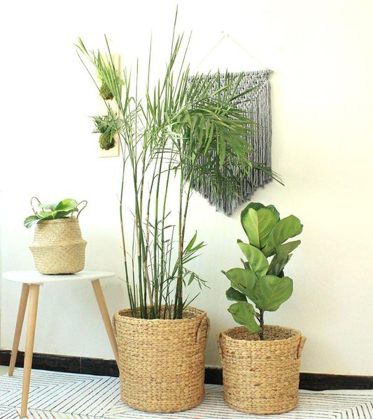 storage bottles & jars rattan straw basket wicker seagrasss folding patchwork seagrass belly garden flower pot planter bamboo
storage bottles & jars rattan straw basket wicker seagrasss folding patchwork seagrass belly garden flower pot planter bamboo