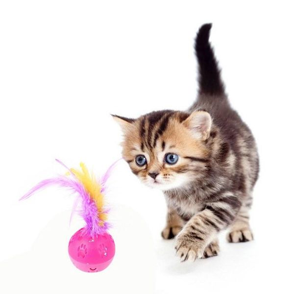 cat toys durable rattanteasing toy plastic ball training tools eliminate boring time let the pet health grow up
cat toys durable rattanteasing toy plastic ball training tools eliminate boring time let the pet health grow up