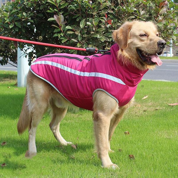 dog apparel waterproof warm large jacket winter soft fleece big coat thicken cotton pet clothes reflective medium dogs clothing
dog apparel waterproof warm large jacket winter soft fleece big coat thicken cotton pet clothes reflective medium dogs clothing