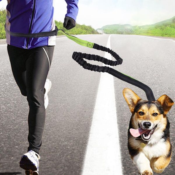 hands pet dogs running leash with adjustable belt absorbing bungee products for dog jogging lead waist rope collars & leashes
hands pet dogs running leash with adjustable belt absorbing bungee products for dog jogging lead waist rope collars & leashes