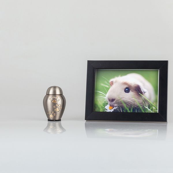 dog pet cremation urn pendant,ashes jar souvenirs,cremation urns for storing the ashes or hair of beloved animals as souvenir gold, Silver
dog pet cremation urn pendant,ashes jar souvenirs,cremation urns for storing the ashes or hair of beloved animals as souvenir gold, Silver