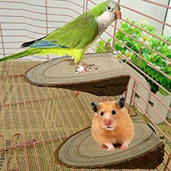 other bird supplies 2pcs wooden parrot stand perch bar cage stick bite platform pet toy decor entertainment and interactive small animal
other bird supplies 2pcs wooden parrot stand perch bar cage stick bite platform pet toy decor entertainment and interactive small animal