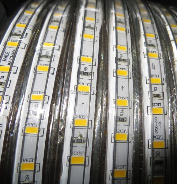 strips smd 5630 led tape light 120led m indoor decoration diode 100m/roll flexible strip lightings 220v
strips smd 5630 led tape light 120led m indoor decoration diode 100m/roll flexible strip lightings 220v