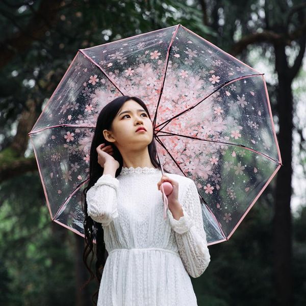 umbrellas sakura umbrella anime romantic women folding cute kids transparent classic cherry paraugas clear corporate gifts 15yx
umbrellas sakura umbrella anime romantic women folding cute kids transparent classic cherry paraugas clear corporate gifts 15yx