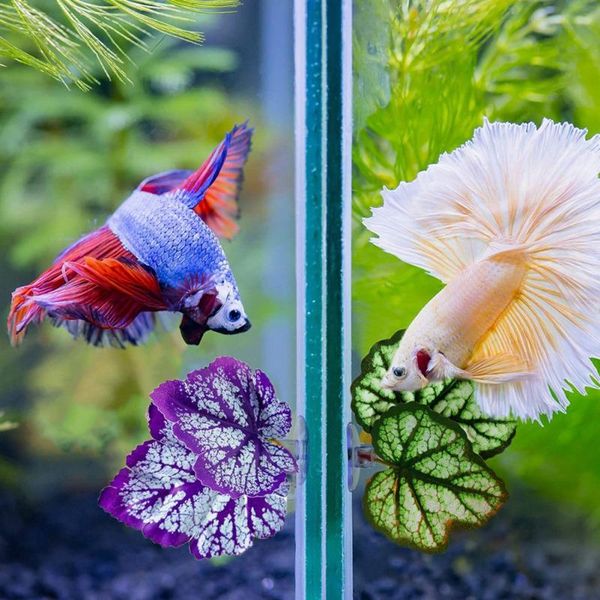 decorations 1pcs artificial leaf aquarium landscape decoration fish rest spawning ornamental tank plant play hide
decorations 1pcs artificial leaf aquarium landscape decoration fish rest spawning ornamental tank plant play hide