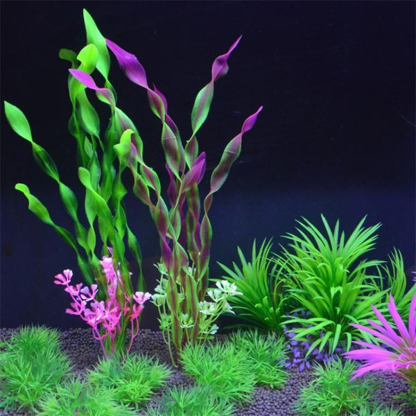 decorations fish tank simulation aquatic plants aquarium landscaping decoration plastic tender kelp grass plant fake seaweed
decorations fish tank simulation aquatic plants aquarium landscaping decoration plastic tender kelp grass plant fake seaweed