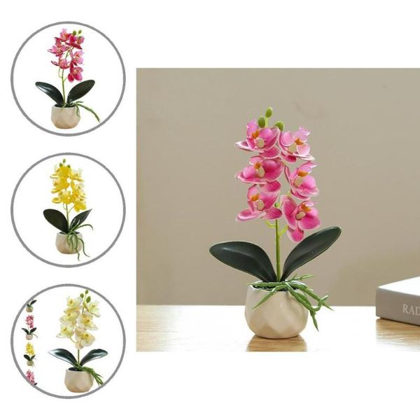 decorative flowers & wreaths artificial potted plant mini 5 colors with flowerpot pretty decor white pot flower
decorative flowers & wreaths artificial potted plant mini 5 colors with flowerpot pretty decor white pot flower