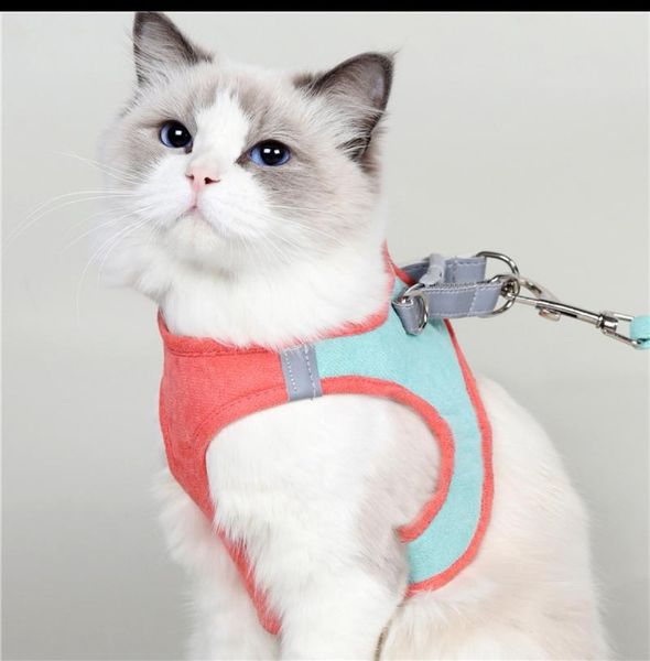 dog collars & leashes harness so cute collar accessories and leash set cat pet stuff
dog collars & leashes harness so cute collar accessories and leash set cat pet stuff