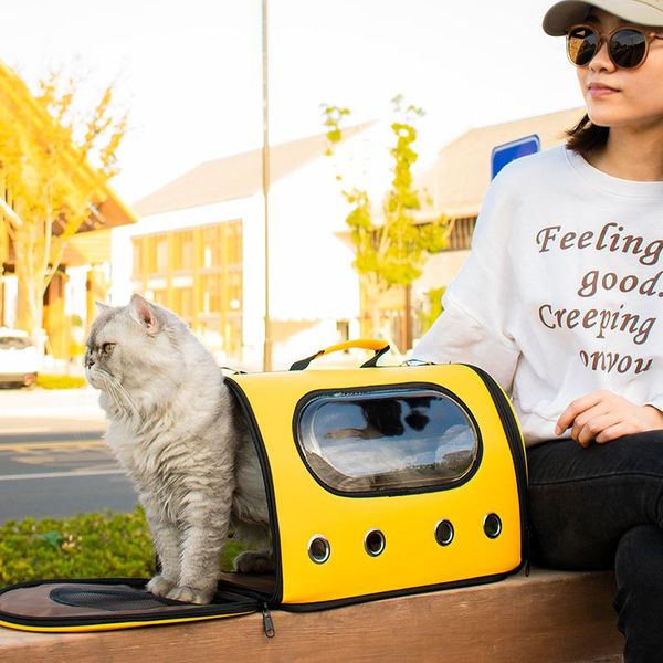 cat carriers,crates & houses pet transparent backpack portable bag folding shoulder breathable outing supplies and dog
cat carriers,crates & houses pet transparent backpack portable bag folding shoulder breathable outing supplies and dog