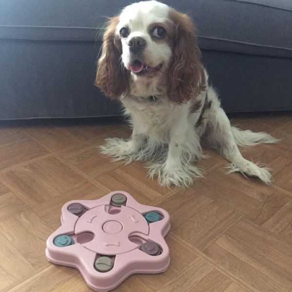 small medium-sized dog puppies educational toys improve iq interactive slow dispensing feeding pet game supplies random colors animal
small medium-sized dog puppies educational toys improve iq interactive slow dispensing feeding pet game supplies random colors animal