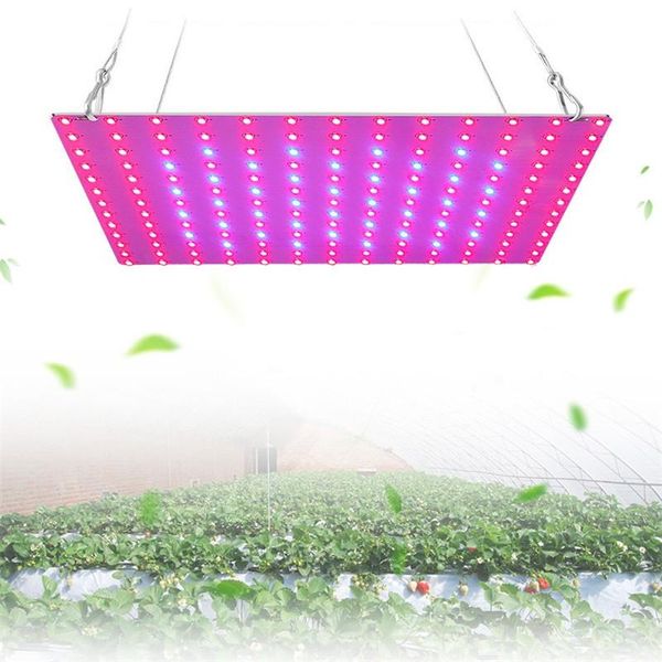 169/81led grow light hydroponic full spectrum indoor veg flower plant growing lights lamp panel garden accessories
169/81led grow light hydroponic full spectrum indoor veg flower plant growing lights lamp panel garden accessories