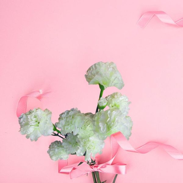 decorative flowers & wreaths mother's day artificial flower 7 carnation plastic dried silk gift home furnishing
decorative flowers & wreaths mother's day artificial flower 7 carnation plastic dried silk gift home furnishing