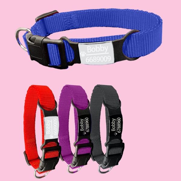 cat collars & leads personalized custom id nylon and dog collar adjustable pet accessories engraving
cat collars & leads personalized custom id nylon and dog collar adjustable pet accessories engraving
