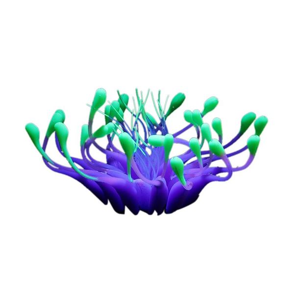 decorations fish tank home gift silicone background simulation for aquarium ornament craft artificial coral marine landscape decor fake
decorations fish tank home gift silicone background simulation for aquarium ornament craft artificial coral marine landscape decor fake