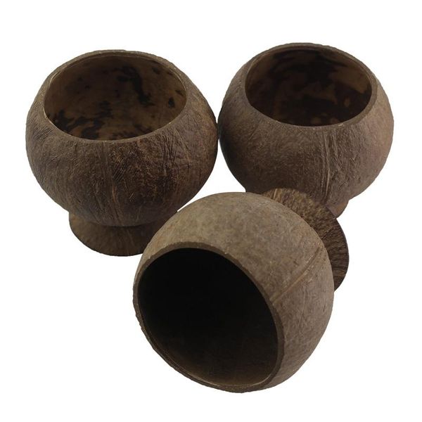 classical coconut shell succulent planter pot bonsai flowerpot planters for succulents hanging pots plants hang plant bowls
classical coconut shell succulent planter pot bonsai flowerpot planters for succulents hanging pots plants hang plant bowls