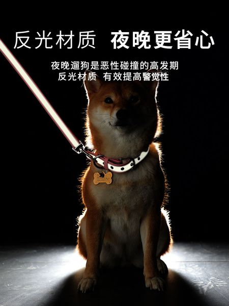 dog tag anti lost bell small cat jewelry dog necklace collar lettering pet necklace
dog tag anti lost bell small cat jewelry dog necklace collar lettering pet necklace