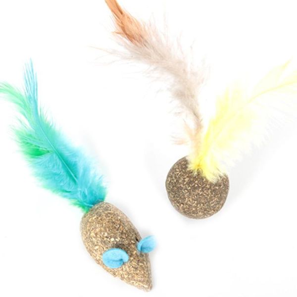cat toys catnip teeth cleaning chew toy make your feel calm and relaxed gift 100% natural wild harvested no additive