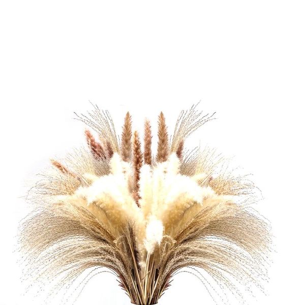 novelty items 60pcs 17.72 inch dried white pampas grass&brown flower& natural reed, home decor
novelty items 60pcs 17.72 inch dried white pampas grass&brown flower& natural reed, home decor