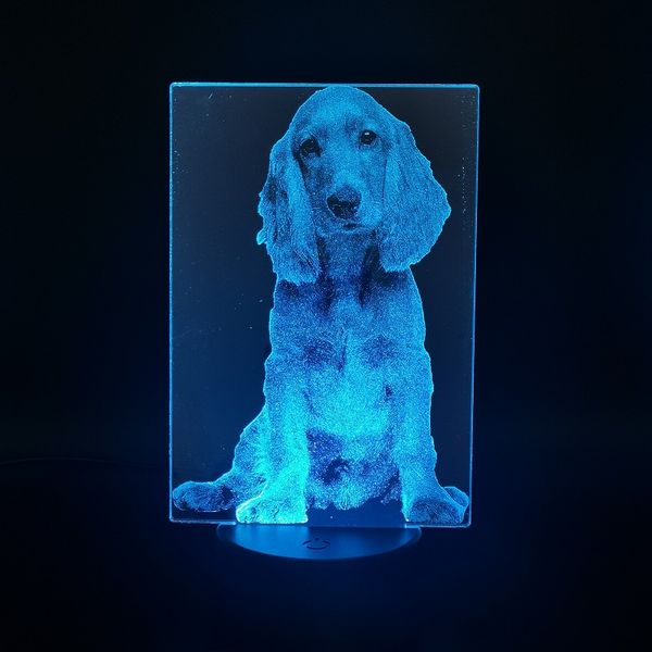 3d night sensor light led cocker spaniel kids animal desk lamp pet dog nightlight smart phone control birthday holiday gift
3d night sensor light led cocker spaniel kids animal desk lamp pet dog nightlight smart phone control birthday holiday gift