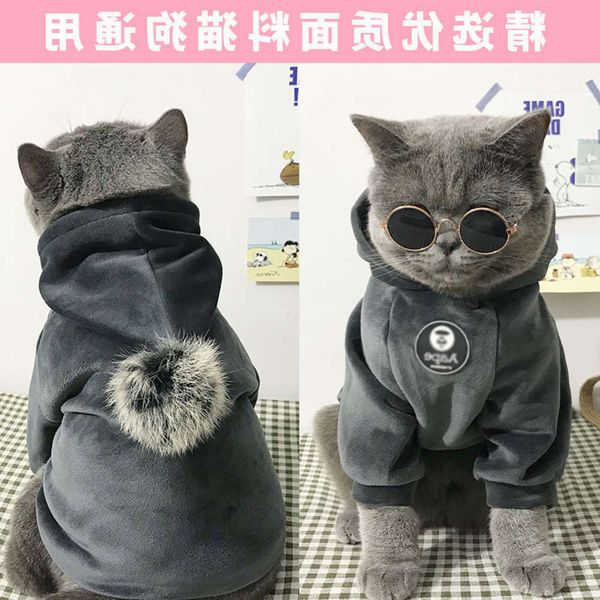 the dog clothes cat spring summer thin pet teddy bear small dog fadou autumn and winter clothing
the dog clothes cat spring summer thin pet teddy bear small dog fadou autumn and winter clothing