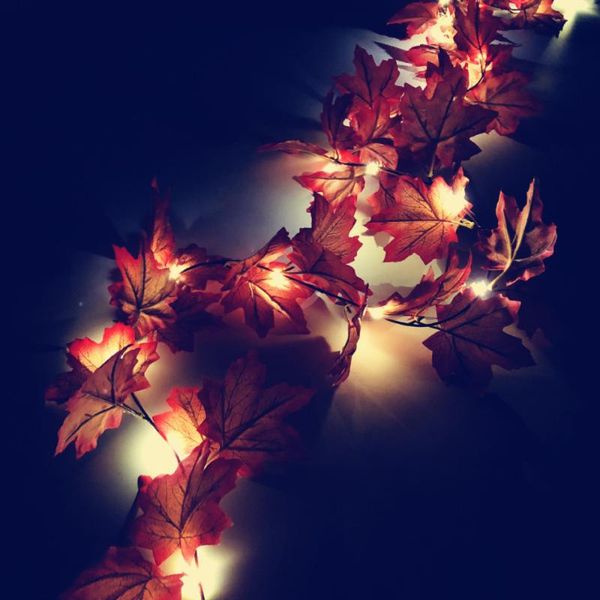 decorative flowers & wreaths garland simulation holiday lighting string fake plant total natural and fresh thanksgiving lifelike
decorative flowers & wreaths garland simulation holiday lighting string fake plant total natural and fresh thanksgiving lifelike