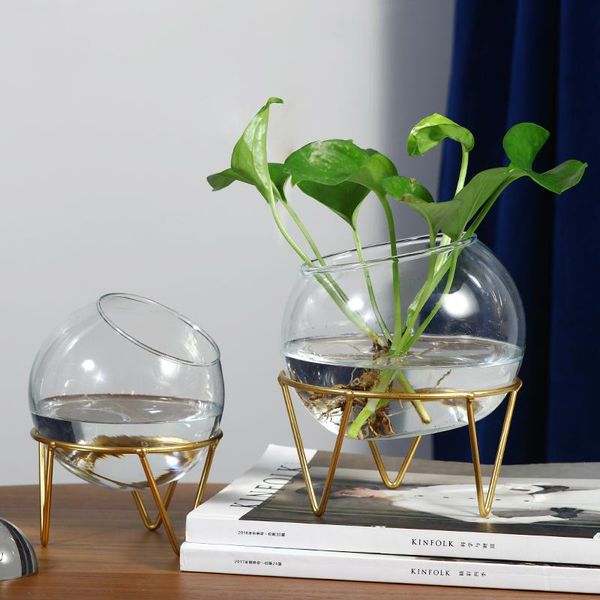 terrarium hydroponic plant vases nordic home decor modern transparent vase iron frame glass tableplants bonsai
terrarium hydroponic plant vases nordic home decor modern transparent vase iron frame glass tableplants bonsai