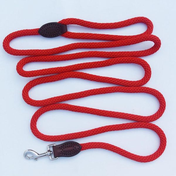 dog collars & leashes 2m/3m/5m/10m long nylon leash dogs lead pet mountaineering rope outdoor walking training for belt safety
dog collars & leashes 2m/3m/5m/10m long nylon leash dogs lead pet mountaineering rope outdoor walking training for belt safety