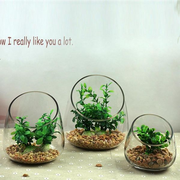vases 2021 florarium decorative transparent oblique micro plant vase moss and lichen tiny landscape ecological bottle
vases 2021 florarium decorative transparent oblique micro plant vase moss and lichen tiny landscape ecological bottle
