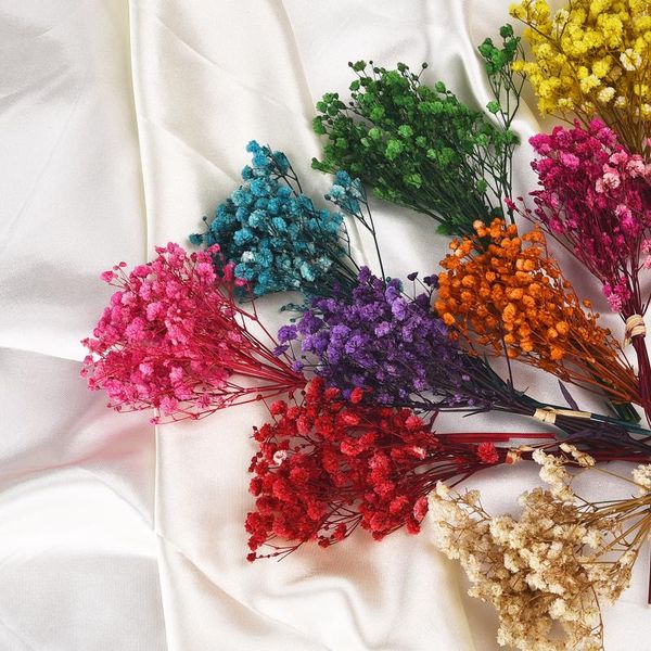 decorative flowers & wreaths 3 pcs mini natural dried flower bouquet home decoration real diy arrangement shooting props
decorative flowers & wreaths 3 pcs mini natural dried flower bouquet home decoration real diy arrangement shooting props