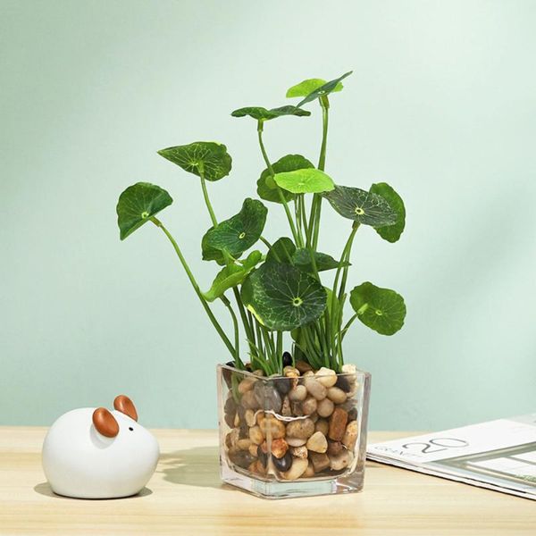decorative flowers & wreaths ornament artificial plant simulation natural pot high-quality grass four leaf clover home green plastic real to
decorative flowers & wreaths ornament artificial plant simulation natural pot high-quality grass four leaf clover home green plastic real to