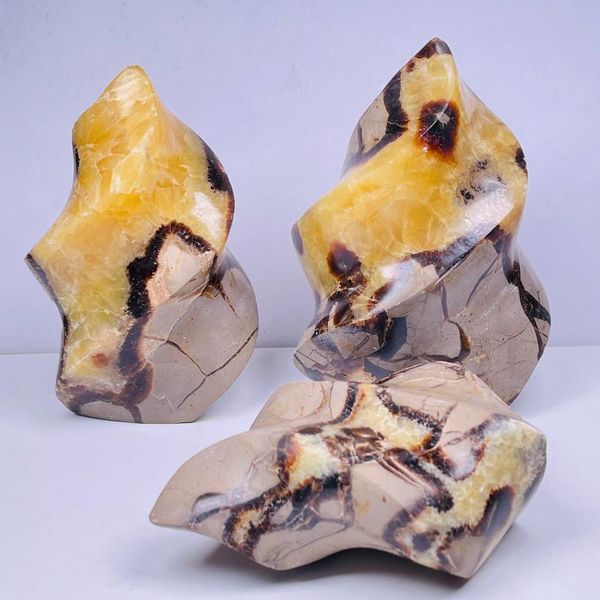 natural septarium torch flame orm specimen meditation chakra healing home decoration 1pcs decorative objects & figurines
natural septarium torch flame orm specimen meditation chakra healing home decoration 1pcs decorative objects & figurines
