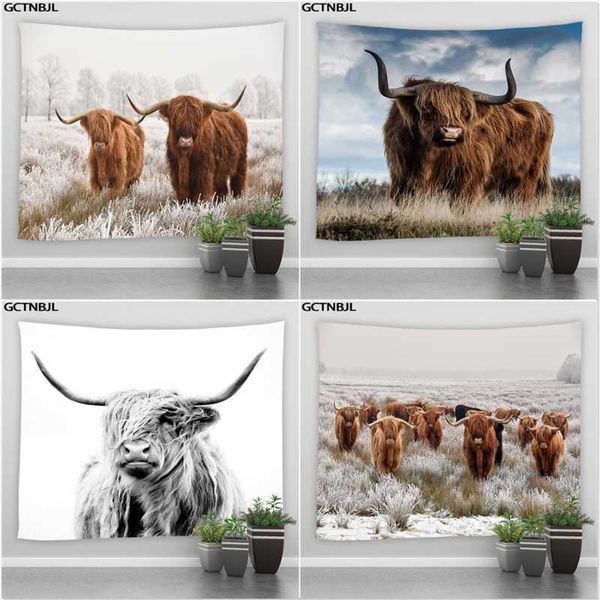 tapestries highland cows large tapestry wild animals cattle art wall hanging background hippie bedroom living room decor blanket
tapestries highland cows large tapestry wild animals cattle art wall hanging background hippie bedroom living room decor blanket