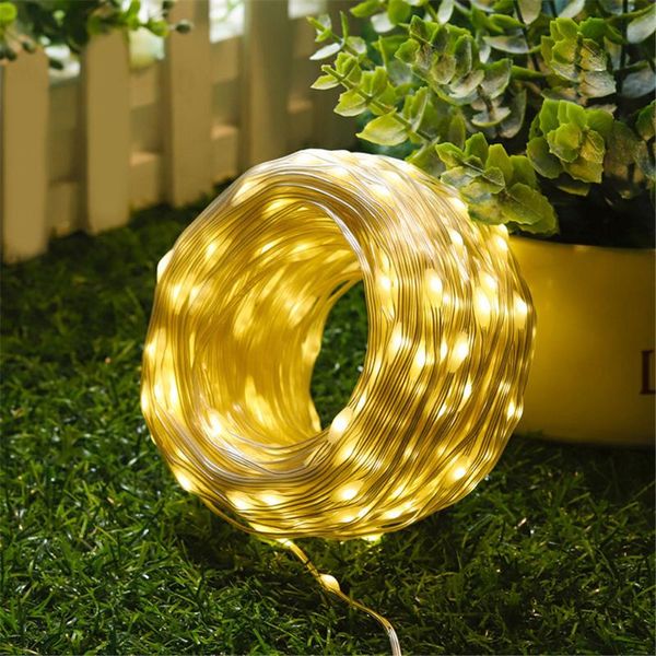 strings 10m 50m 100m 24v low voltage safety led string lights outdoor waterproof flat wire christmas for home wedding party
strings 10m 50m 100m 24v low voltage safety led string lights outdoor waterproof flat wire christmas for home wedding party